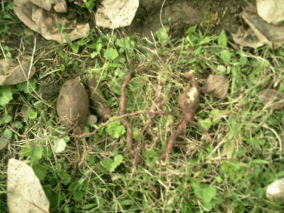 e0033751_19312168.jpg