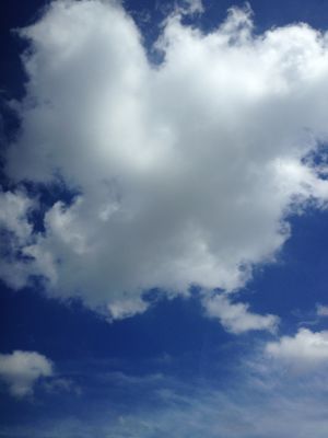 b0271853_12541339.jpg