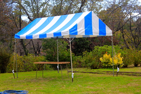 a0248459_1901580.jpg