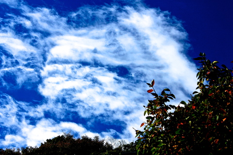 a0248459_195273.jpg