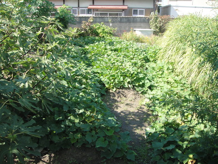 c0108460_1824416.jpg