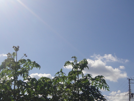 c0108460_182640.jpg