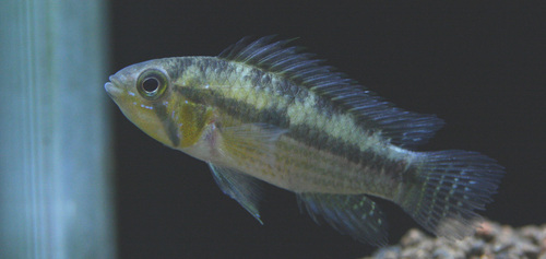 a0162263_21445957.jpg
