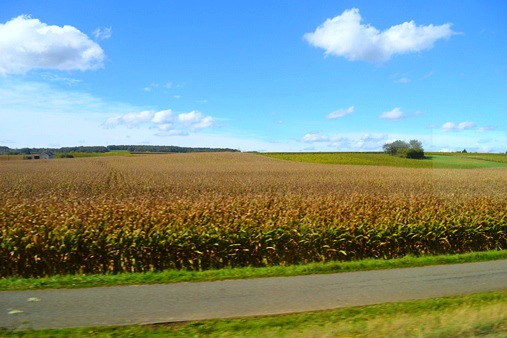 f0232763_18462341.jpg