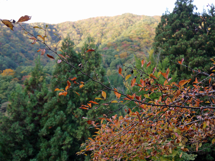 上州湯けむり紅葉紀行（１）谷川温泉と谷川岳周辺_c0014967_828134.jpg