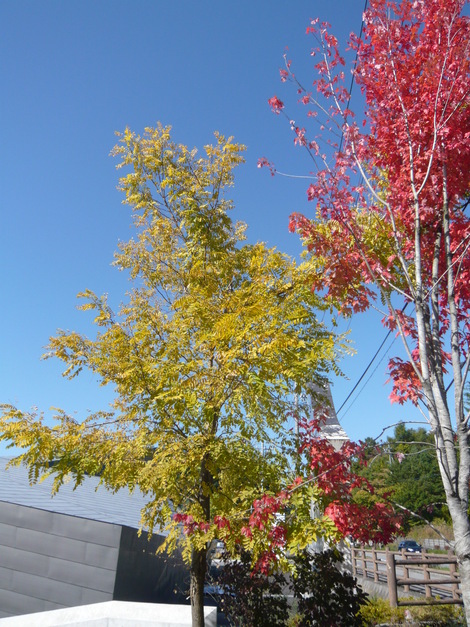千住博美術館@軽井沢の秋2012_d0108969_12452749.jpg