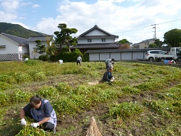 ええとこ村プロジェクト　そば刈り作業　_e0175370_16201376.jpg