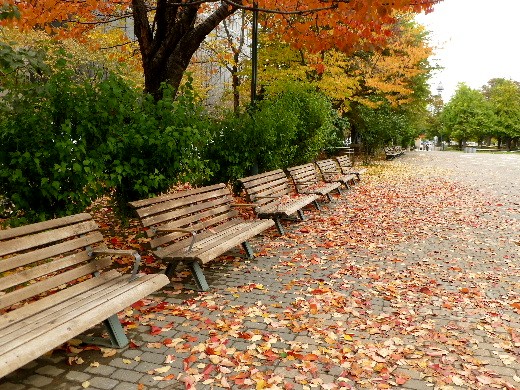 札幌・大通り公園の紅葉_d0084473_20452484.jpg