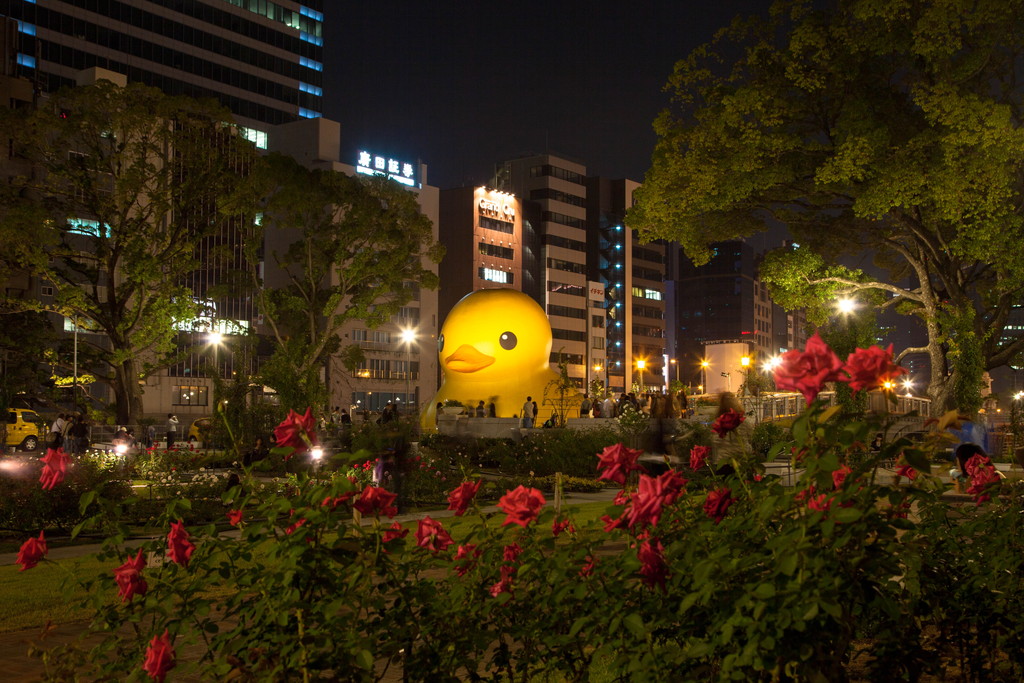 10/21　大阪・中之島公園　①_e0174074_629784.jpg