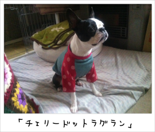 f0168374_2121583.png