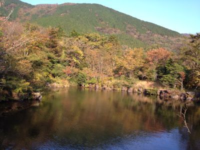 d0262778_71956.jpg