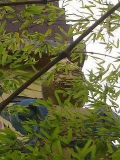 f0228680_12552812.jpg