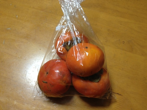 休日_e0231482_16463431.jpg