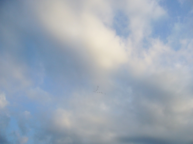 f0079085_23363656.jpg