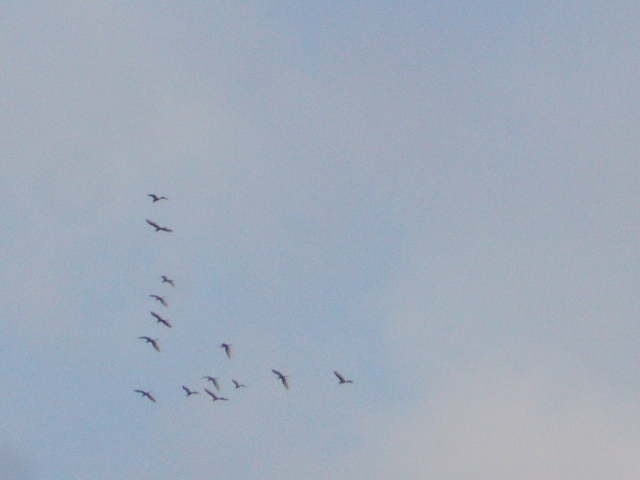 f0079085_23365179.jpg