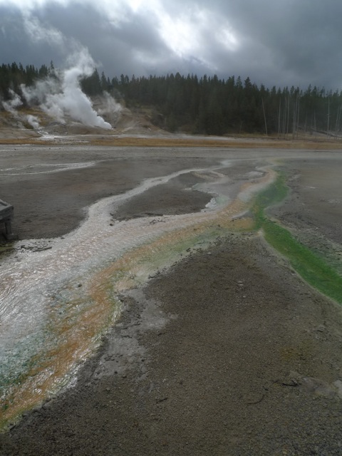 Yellowstone National Park._d0177887_1426395.jpg