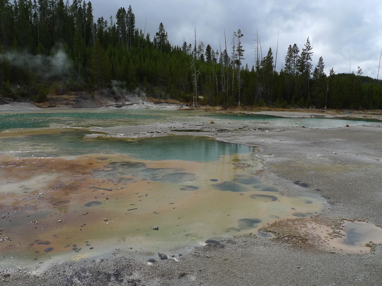 Yellowstone National Park._d0177887_1430393.jpg