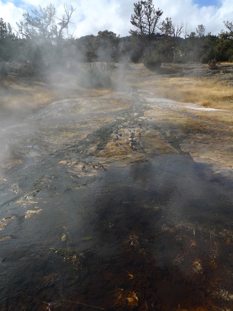 Yellowstone National Park._d0177887_14321054.jpg