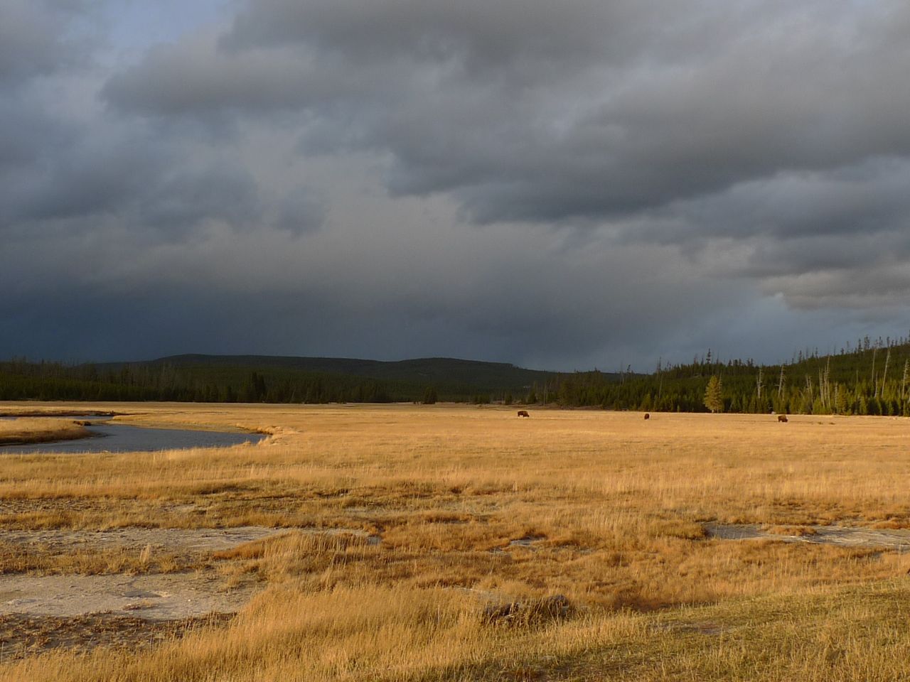 Yellowstone National Park._d0177887_14483329.jpg