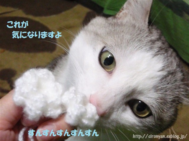 a0159490_1614096.jpg