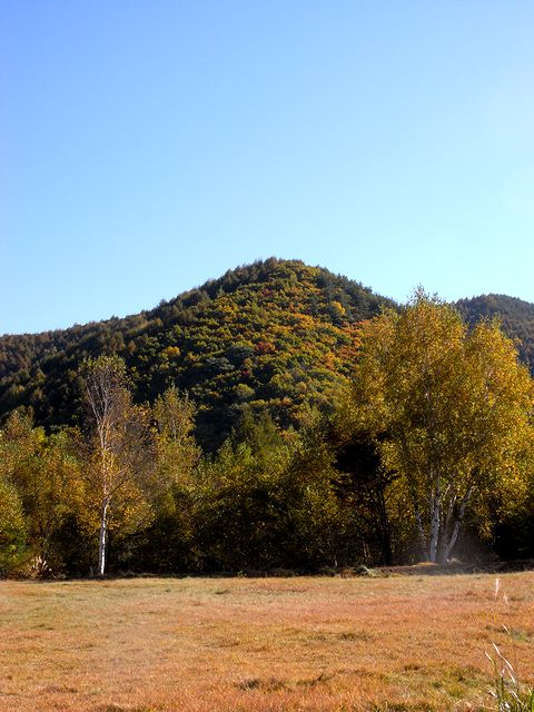 a0093592_1245655.jpg