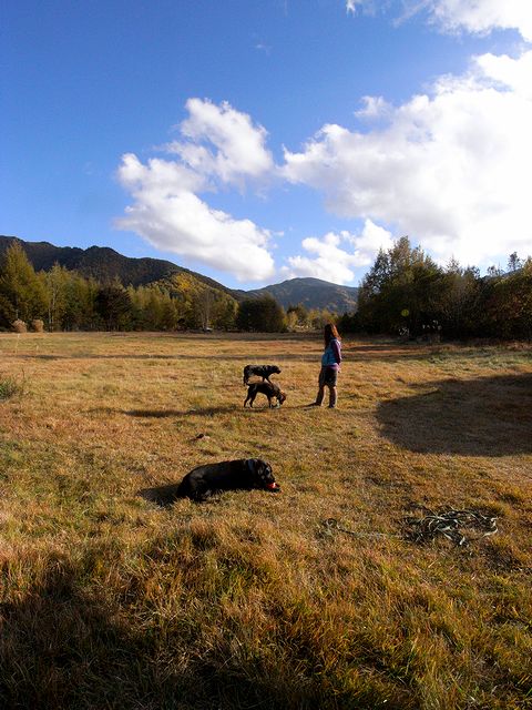 a0093592_138241.jpg