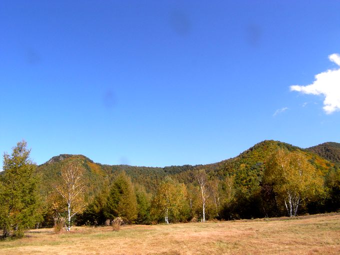 a0093592_199100.jpg