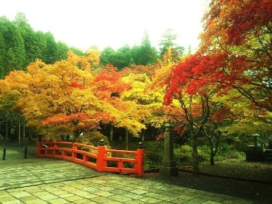 紅葉と高野山。_a0045293_18122746.jpg