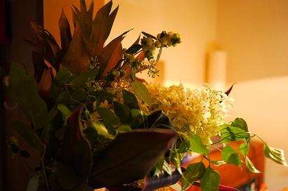 今日からスタート!フボーと植物展 「白」_f0226293_7581429.jpg