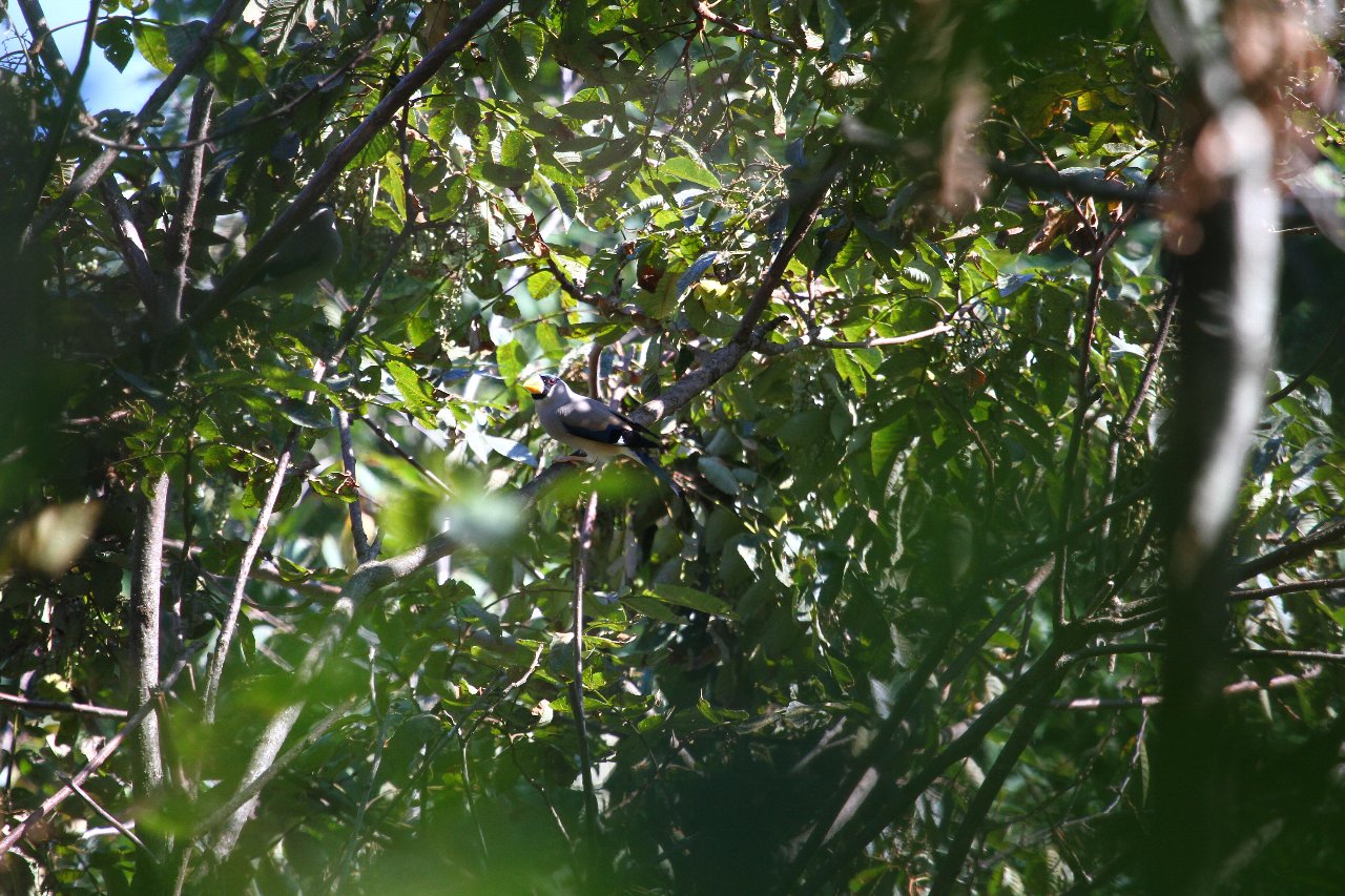 e0167295_5382697.jpg