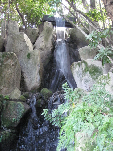 f0010195_1902474.jpg