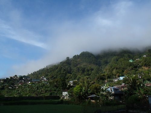 b0128901_20271796.jpg
