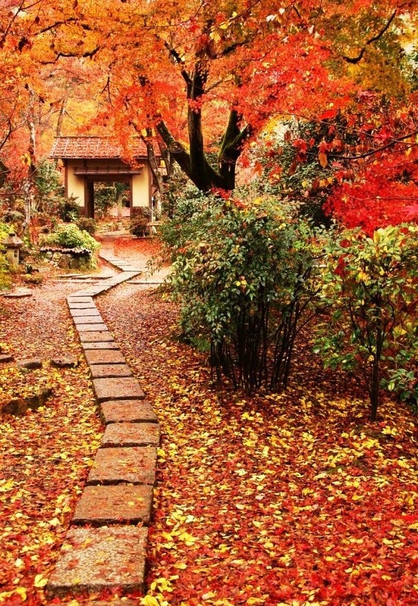 秋 の写真展 ご案内 雲母 kira の舟に乗って 秋 の写真展 ご案内 雲母 kira の舟に乗って