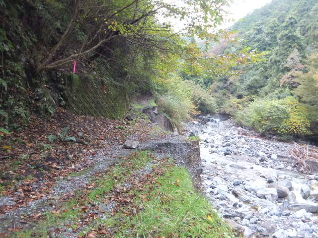 a0271502_1503134.jpg