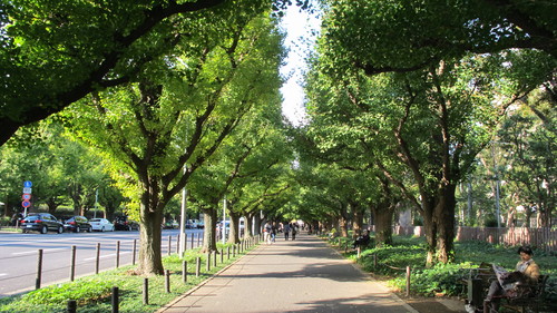 c0036203_14444292.jpg