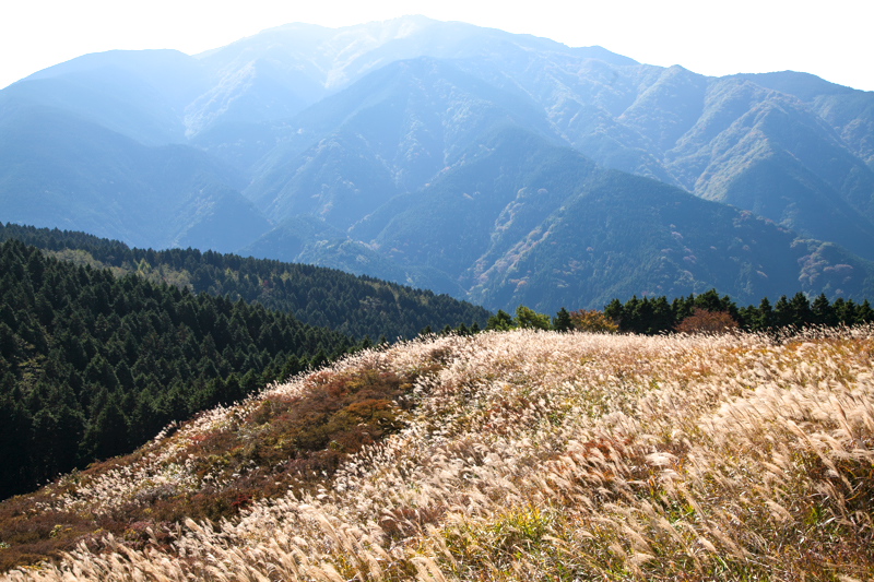 c0043403_2113215.jpg