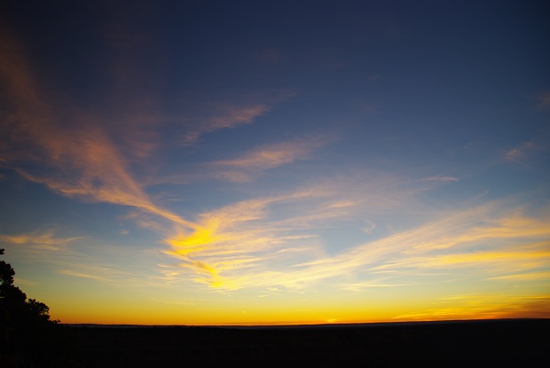 f0038904_11355956.jpg