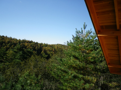 c0250105_20501714.jpg
