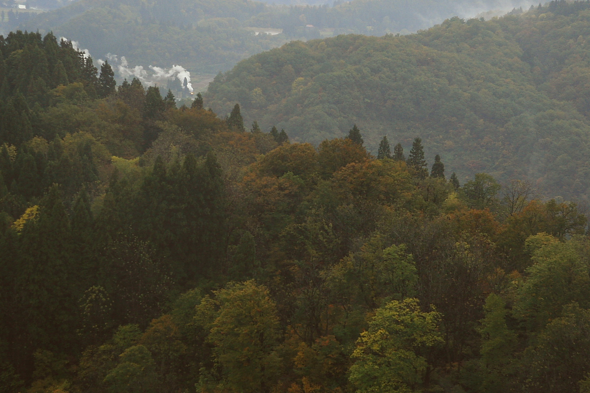 雨・紅葉と白煙 - 2012年秋・飯山線 - _b0190710_22565875.jpg