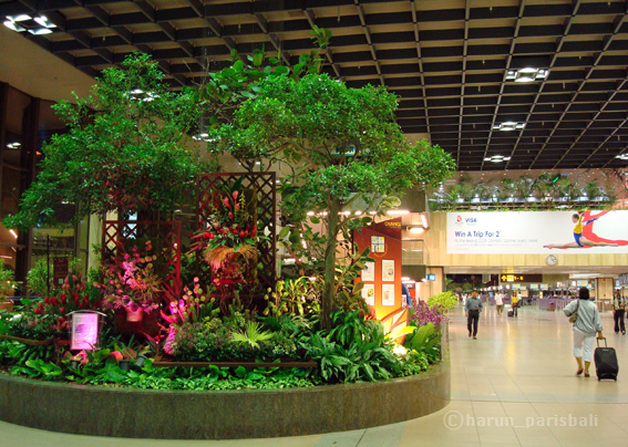 e0103211_21422427.jpg