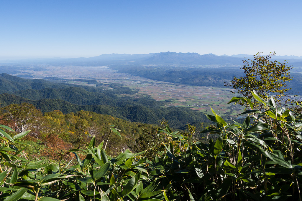 c0073613_13561738.jpg