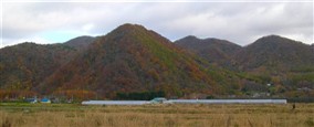 平成24年11月3日（土）　荒巻山林　天候：曇り　参加：10名_c0173813_20541245.jpg