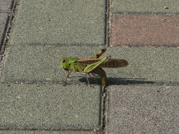 e0002314_17231475.jpg