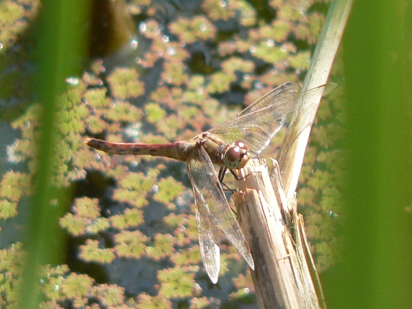 e0002314_17385582.jpg