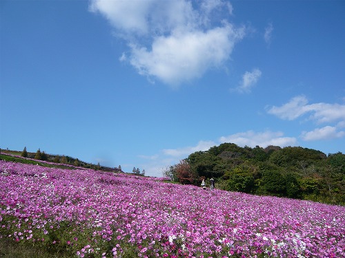 f0223914_17104434.jpg