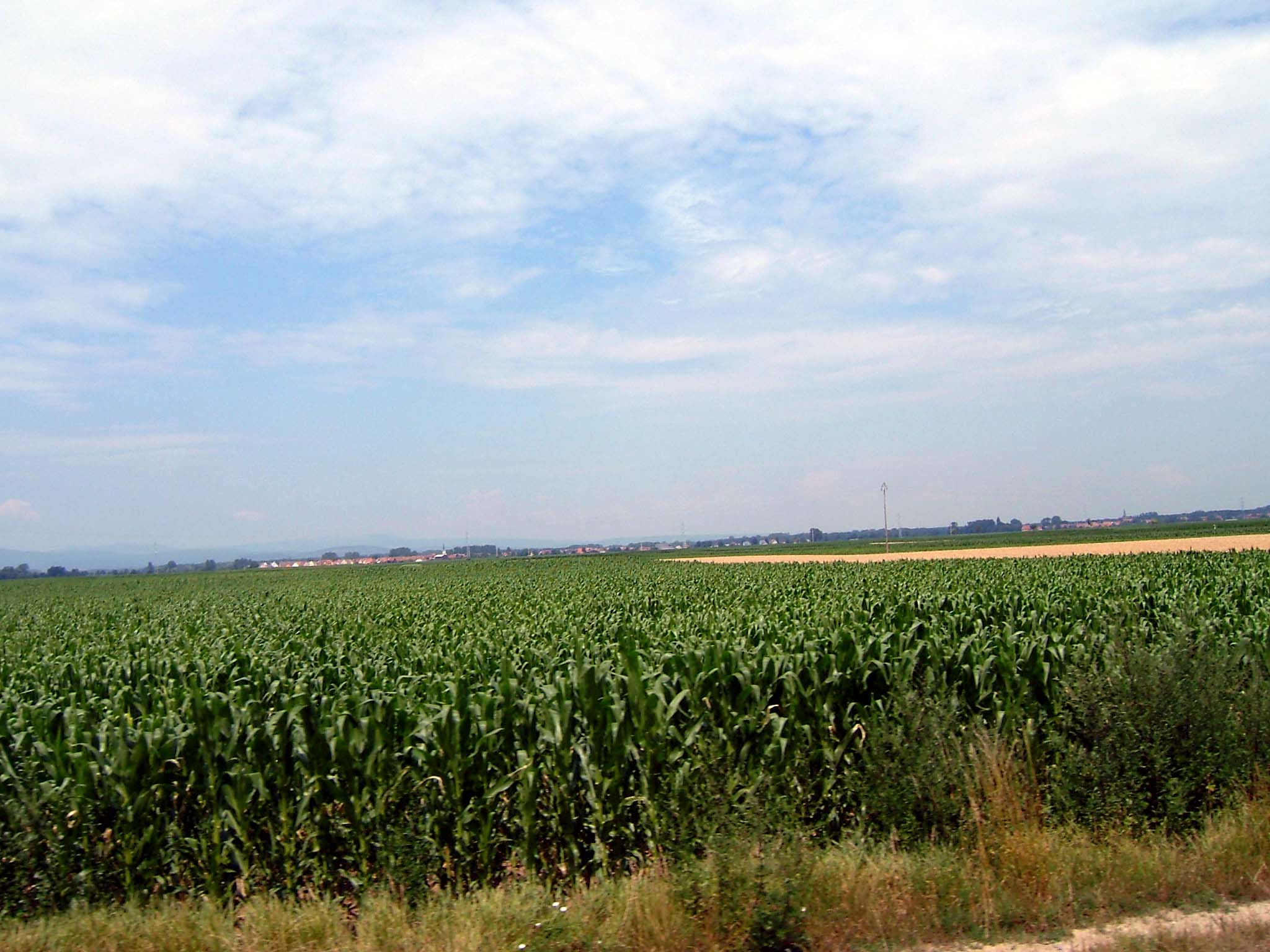 e0059520_18282124.jpg