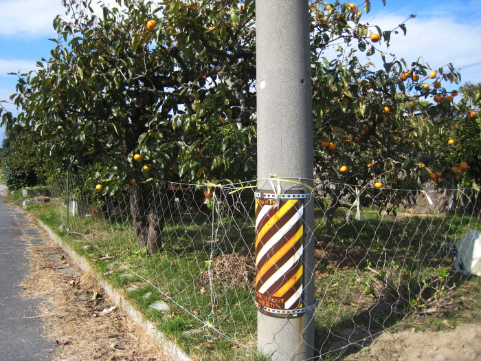 e0164622_20462364.jpg