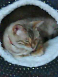 f0009028_22264282.jpg