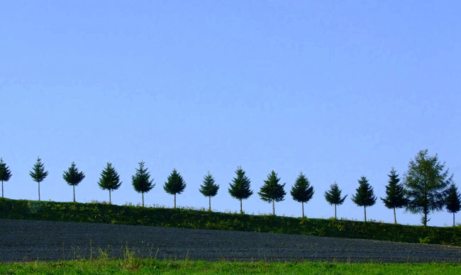 「北海道の旅2012　車でつなぐ北海道の絶景、けむり屋」_a0000029_14121822.jpg