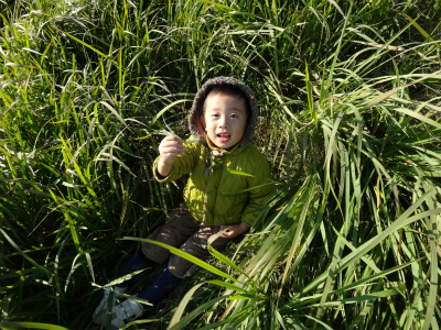 c0157729_22263678.jpg